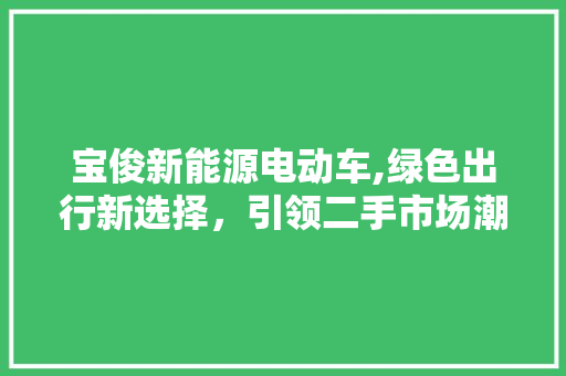 宝俊新能源电动车,绿色出行新选择，引领二手市场潮流