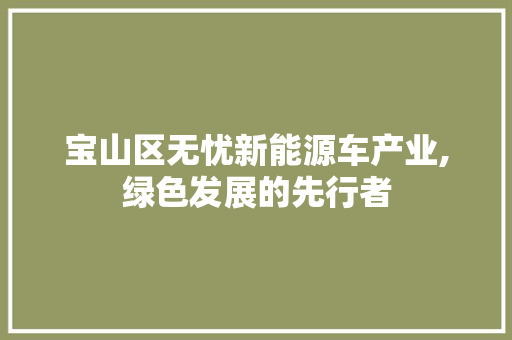 宝山区无忧新能源车产业,绿色发展的先行者