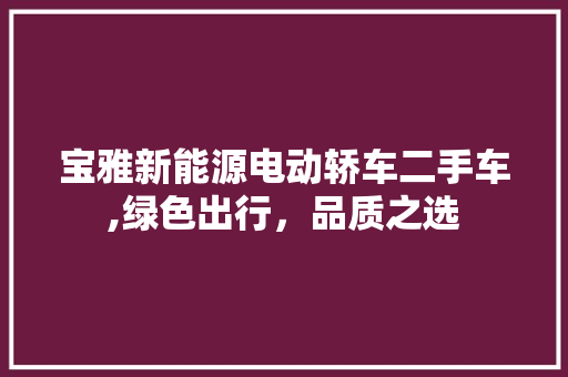 宝雅新能源电动轿车二手车,绿色出行，品质之选