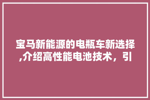 宝马新能源的电瓶车新选择,介绍高性能电池技术，引领绿色出行潮流