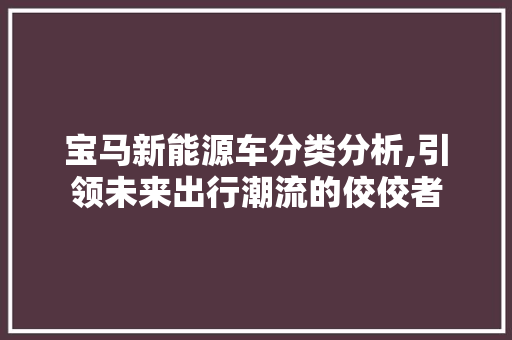 宝马新能源车分类分析,引领未来出行潮流的佼佼者