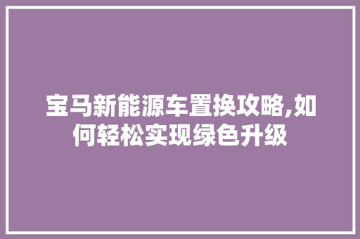 宝马新能源车置换攻略,如何轻松实现绿色升级