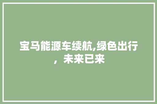 宝马能源车续航,绿色出行，未来已来