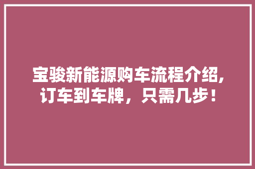 宝骏新能源购车流程介绍,订车到车牌，只需几步！