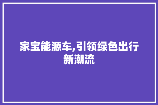 家宝能源车,引领绿色出行新潮流