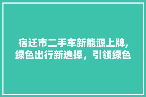 宿迁市二手车新能源上牌,绿色出行新选择，引领绿色生活新风尚