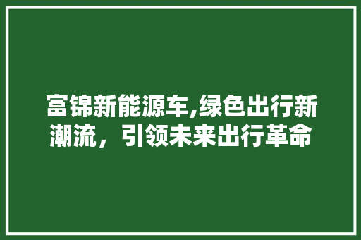 富锦新能源车,绿色出行新潮流，引领未来出行革命