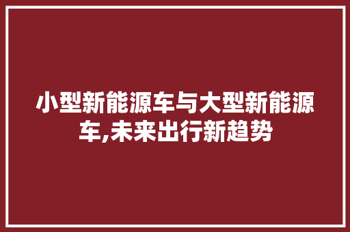 小型新能源车与大型新能源车,未来出行新趋势