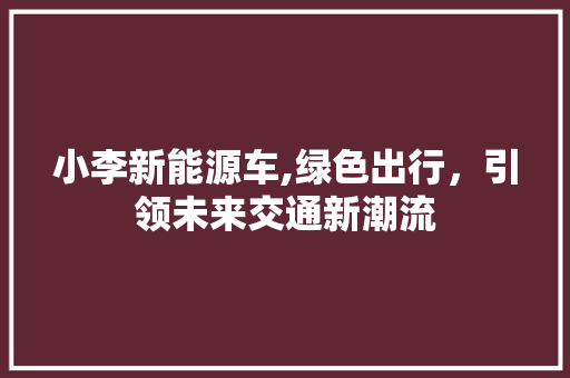 小李新能源车,绿色出行，引领未来交通新潮流