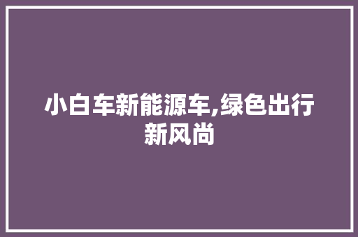 小白车新能源车,绿色出行新风尚