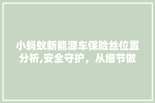 小蚂蚁新能源车保险丝位置分析,安全守护，从细节做起