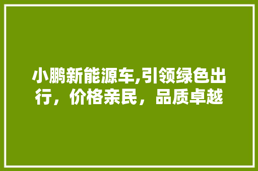 小鹏新能源车,引领绿色出行，价格亲民，品质卓越