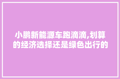 小鹏新能源车跑滴滴,划算的经济选择还是绿色出行的先锋