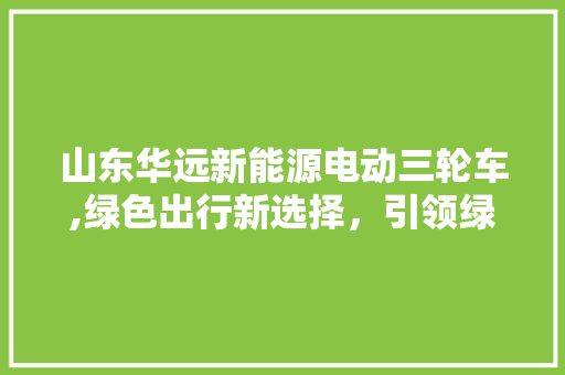 山东华远新能源电动三轮车,绿色出行新选择，引领绿色生活潮流