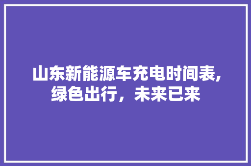 山东新能源车充电时间表,绿色出行，未来已来