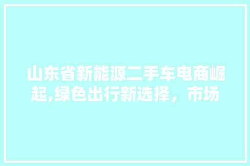 山东省新能源二手车电商崛起,绿色出行新选择，市场潜力巨大