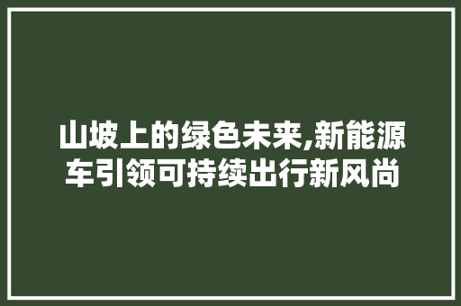 山坡上的绿色未来,新能源车引领可持续出行新风尚