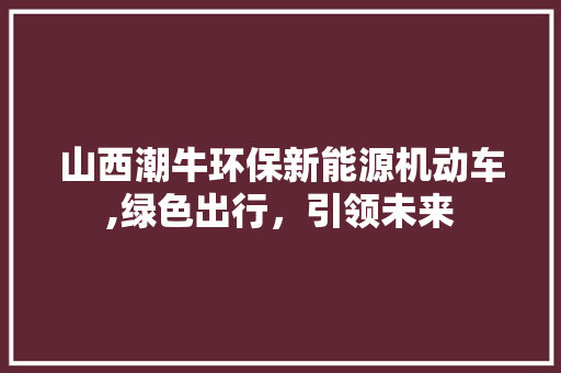 山西潮牛环保新能源机动车,绿色出行，引领未来