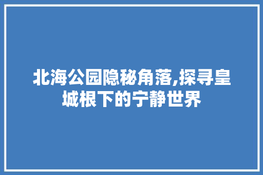 北海公园隐秘角落,探寻皇城根下的宁静世界