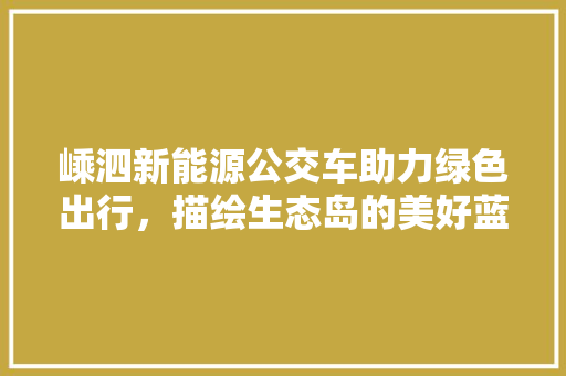 嵊泗新能源公交车助力绿色出行，描绘生态岛的美好蓝图