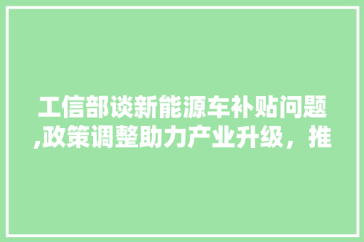 工信部谈新能源车补贴问题,政策调整助力产业升级，推动绿色出行新篇章