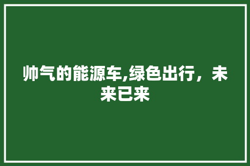 帅气的能源车,绿色出行，未来已来