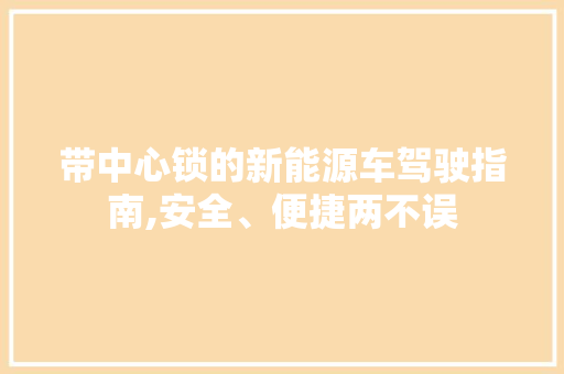 带中心锁的新能源车驾驶指南,安全、便捷两不误