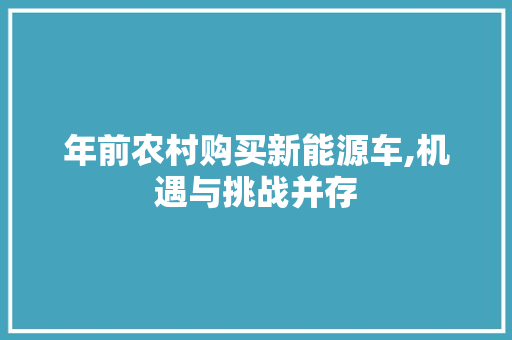 年前农村购买新能源车,机遇与挑战并存