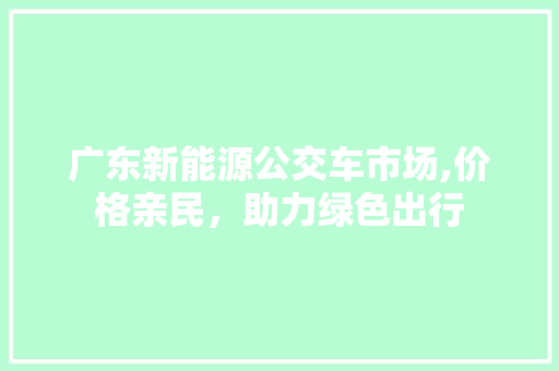 广东新能源公交车市场,价格亲民，助力绿色出行