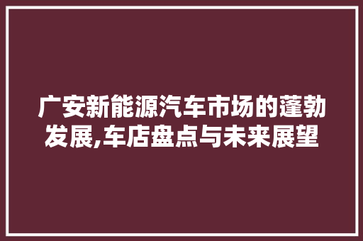 广安新能源汽车市场的蓬勃发展,车店盘点与未来展望