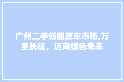 广州二手新能源车市场,万里长征，迈向绿色未来