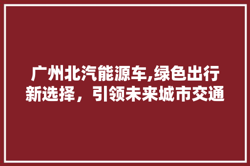 广州北汽能源车,绿色出行新选择，引领未来城市交通变革