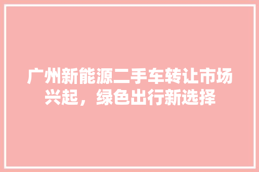 广州新能源二手车转让市场兴起，绿色出行新选择