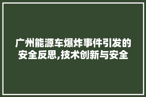 广州能源车爆炸事件引发的安全反思,技术创新与安全监管的平衡之路