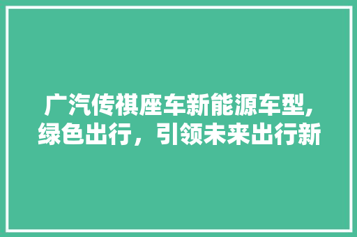 广汽传祺座车新能源车型,绿色出行，引领未来出行新潮流