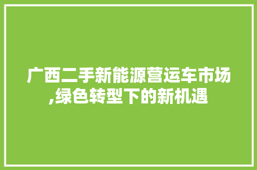 广西二手新能源营运车市场,绿色转型下的新机遇