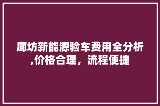 廊坊新能源验车费用全分析,价格合理，流程便捷