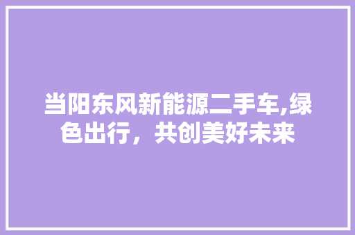 当阳东风新能源二手车,绿色出行，共创美好未来