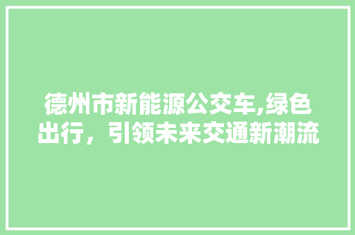 德州市新能源公交车,绿色出行，引领未来交通新潮流