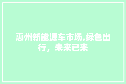 惠州新能源车市场,绿色出行，未来已来