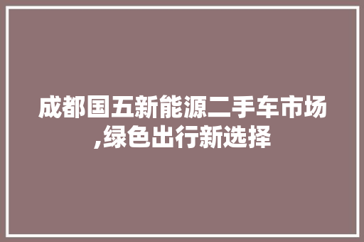 成都国五新能源二手车市场,绿色出行新选择