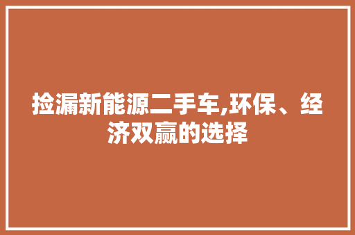 捡漏新能源二手车,环保、经济双赢的选择