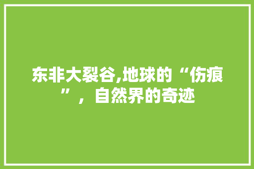 东非大裂谷,地球的“伤痕”，自然界的奇迹