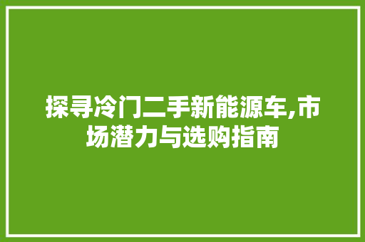 探寻冷门二手新能源车,市场潜力与选购指南