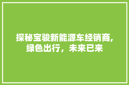 探秘宝骏新能源车经销商,绿色出行，未来已来