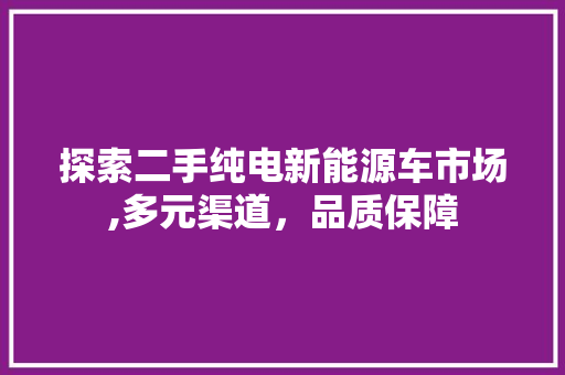 探索二手纯电新能源车市场,多元渠道，品质保障