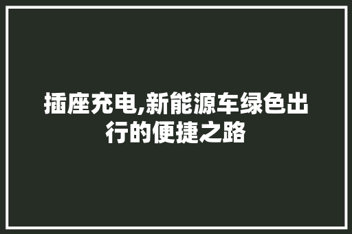 插座充电,新能源车绿色出行的便捷之路