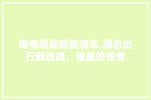 插电混动新能源车,绿色出行新选择，谁是佼佼者