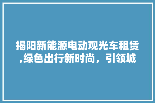 揭阳新能源电动观光车租赁,绿色出行新时尚，引领城市可持续发展