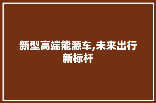 新型高端能源车,未来出行新标杆